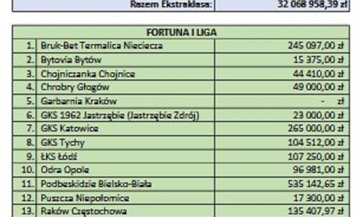 Tyle polskie kluby PŁACĄ PROWIZJI menadżerom i pośrednikom! WISŁA PŁOCK o.O